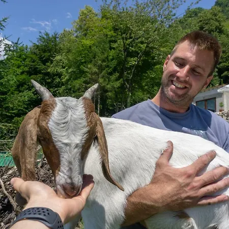 Nature View House With Sauna