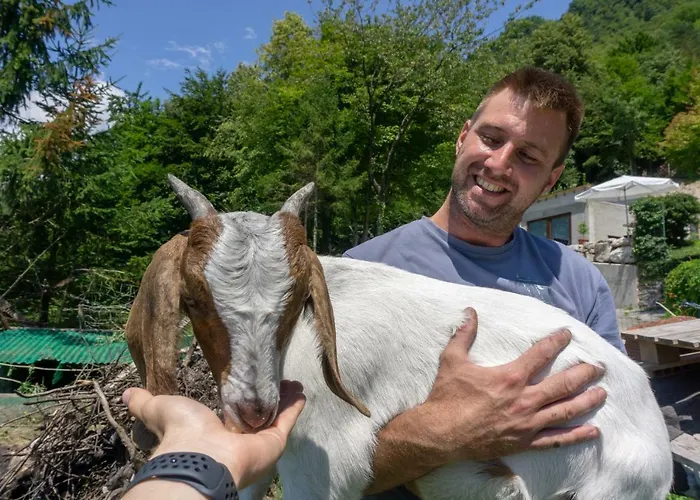 Nature View House With Sauna