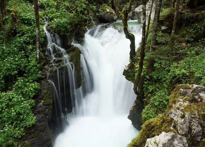 Nature View House With Sauna *